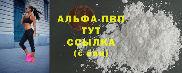 соль ск Надым