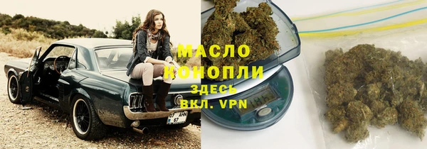 PSILOCYBIN Вяземский