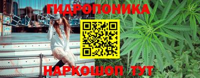 ПСИЛОЦИБИНОВЫЕ ГРИБЫ Беслан