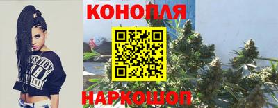 apvp Кимры