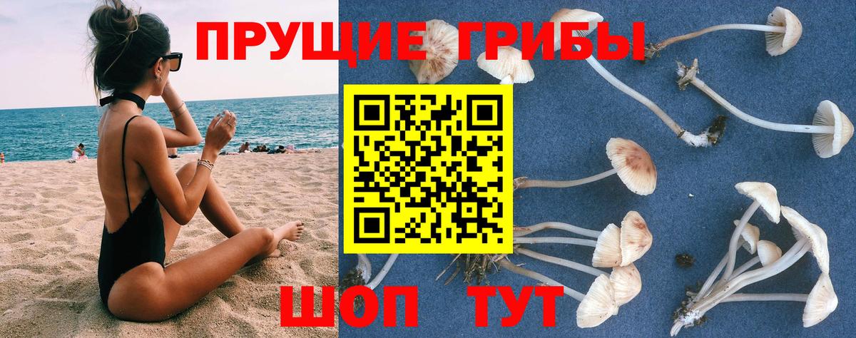 Галлюциногенные грибы Magic Shrooms  Галлюциногенные грибы GOLDEN TEACHER  Новоалтайск 